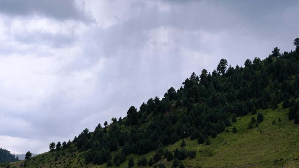 Dolmari hill at Shechen monastery